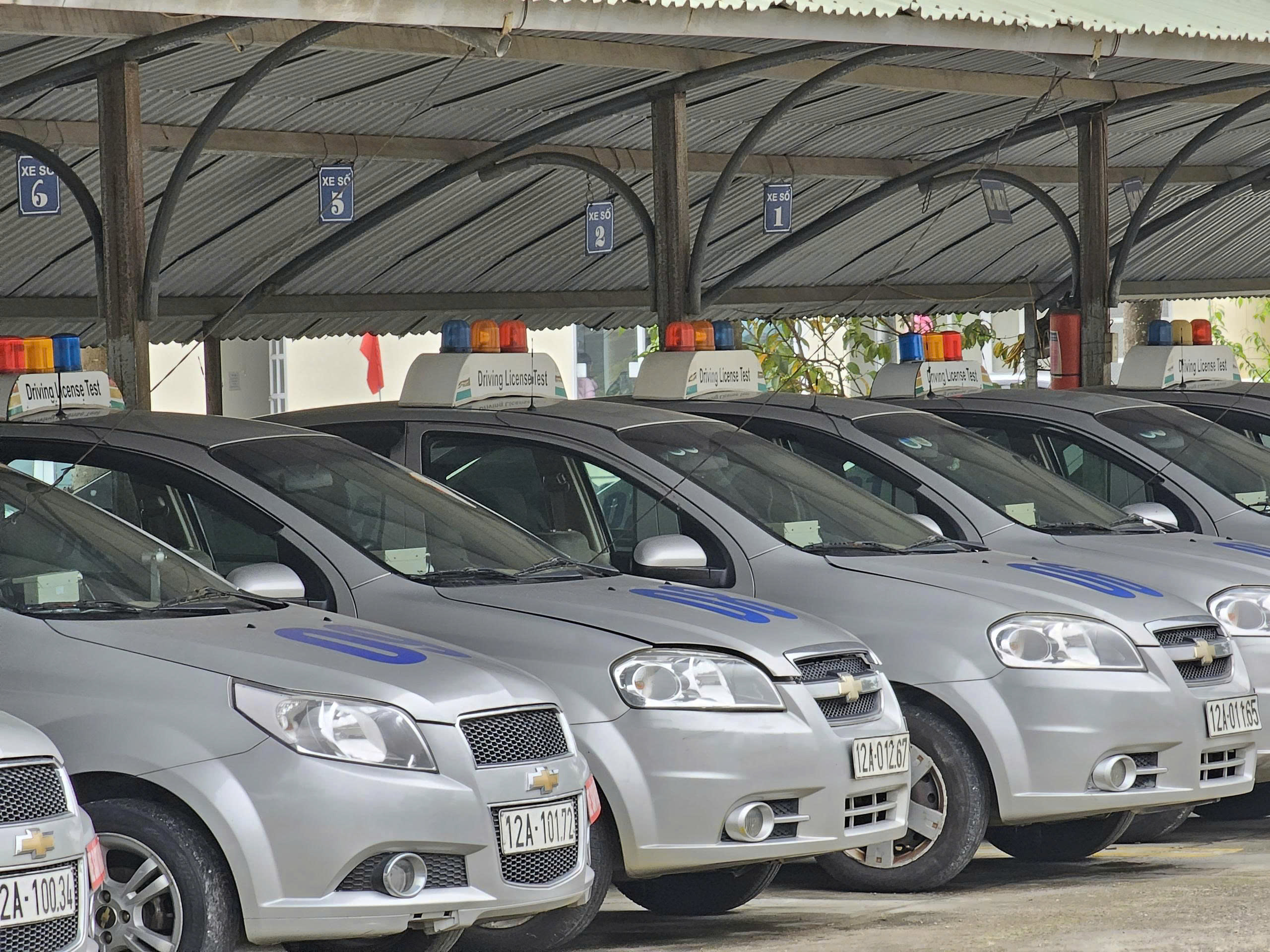 Hàng xe ô tô thi bằng lái